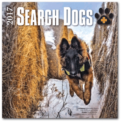 2017 SEARCH DOGS Wall Calendar
