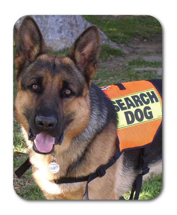 Custom (Vertical): 8&quot; x 10&quot; Mouse Pad