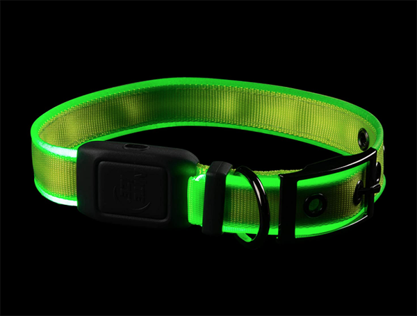 NiteDog™ Rechargeable LED Collar
