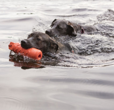 KONG® Training Dummy
