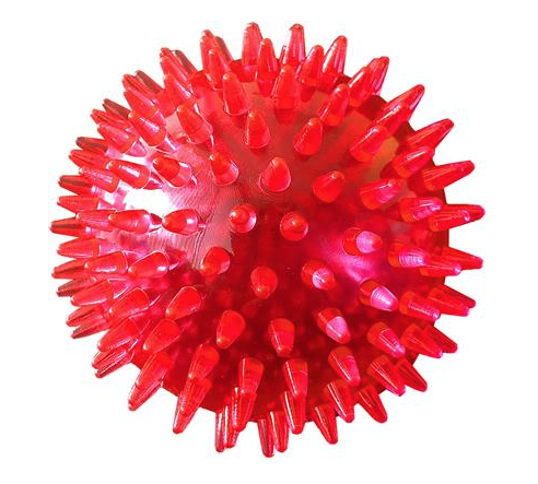 PetSport® Spiky Ball