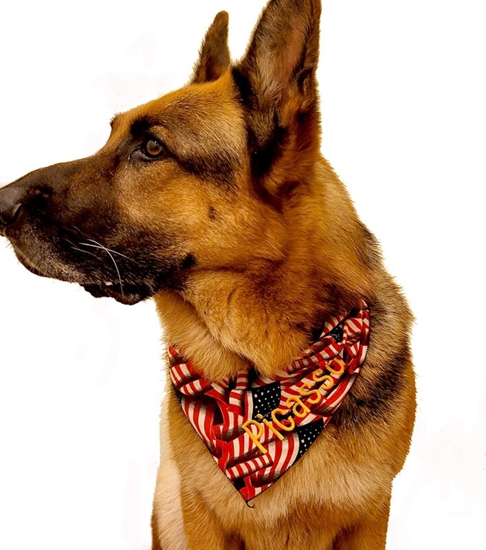 Dog Bandana