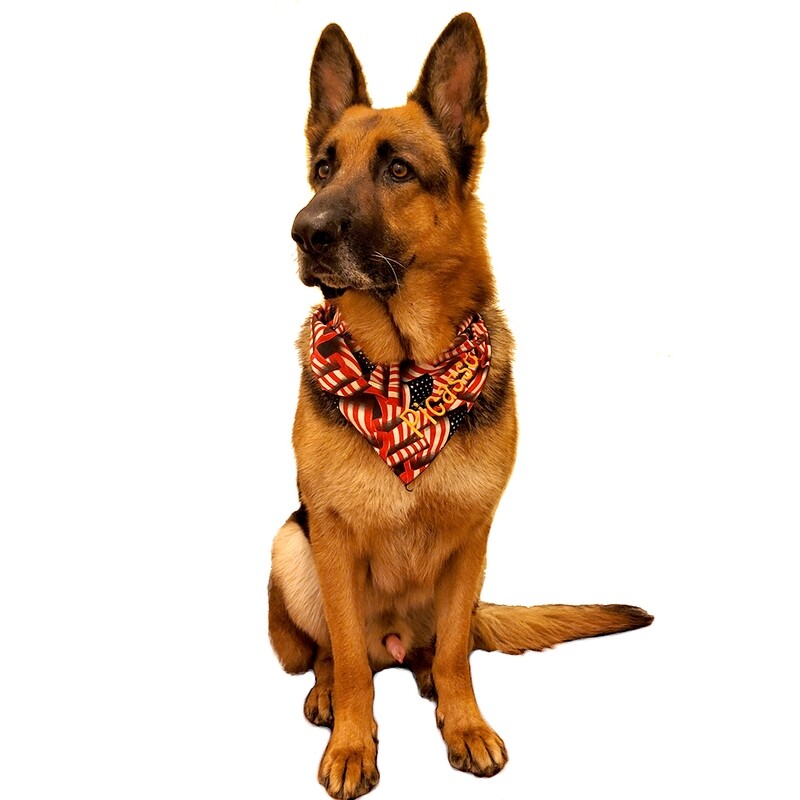 Dog Bandana