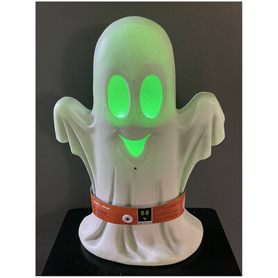 Spooky Village™ Lighted Ghost