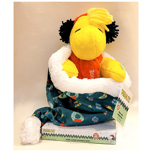 Peanuts® Peek A Boo Woodstock