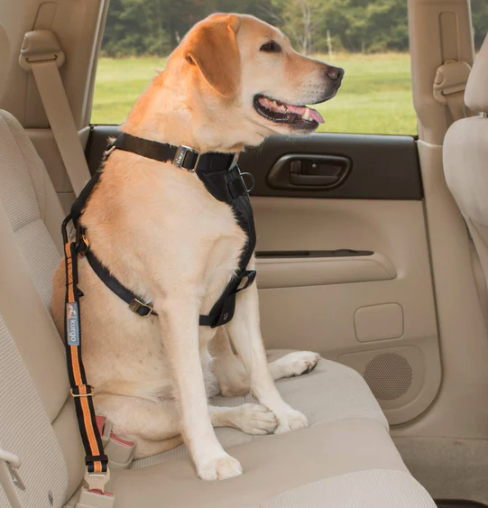 Kurgo® Direct to Seatbelt Tether