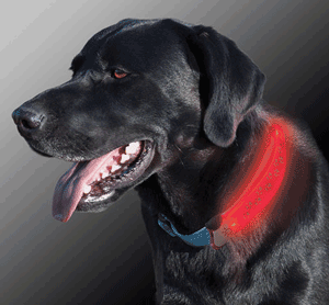 Nite-Dawg LED Collar Cover