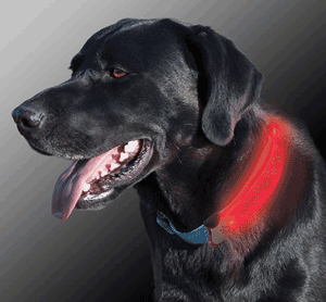Nite Ize® NiteDawg LED Collar Cover