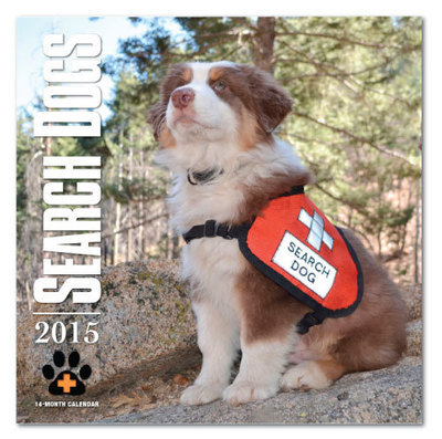 2015 SEARCH DOGS Wall Calendar