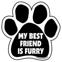 Paw Magnet: MY BEST FRIEND IS FURRY