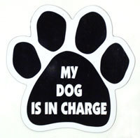 Paw Magnet: MY DOG IS IN CHARGE