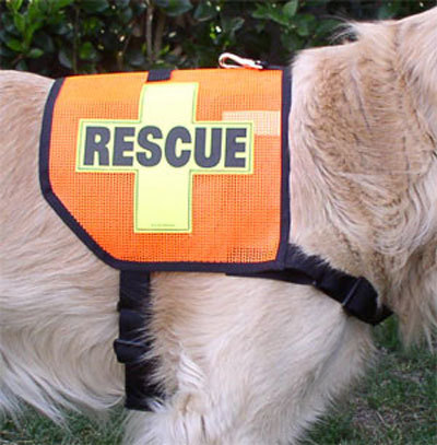 Mini K-9 Vest (Mesh): RESCUE Cross