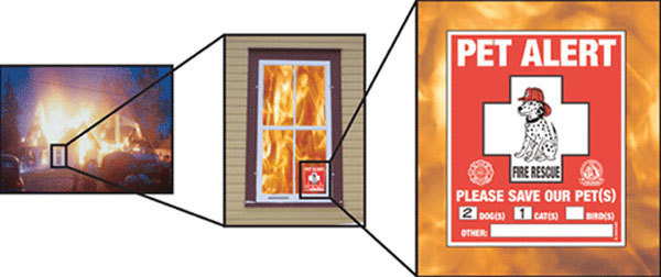 Window Decal: Rescue Our Pets