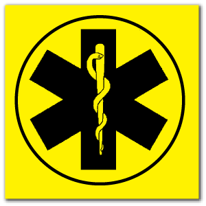 Reflective Patch: Star of Life