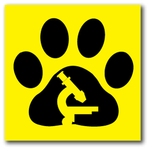 Reflective Patch: Paw Scope