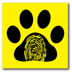 Reflective Patch: Paw Thumb