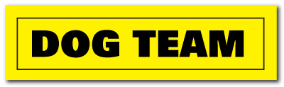 Reflective Patch: DOG TEAM