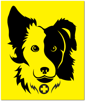 Reflective Patch: SAR K-9 Border Collie