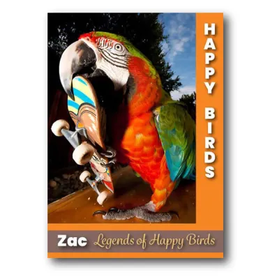 Trading Cards: Style D
