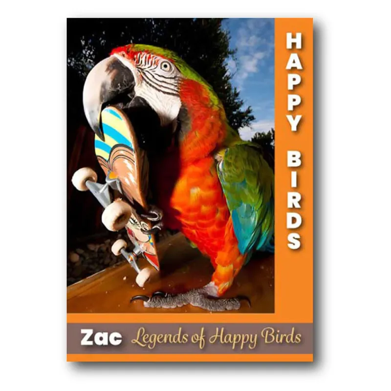Style A: Set of 50 Trading Cards