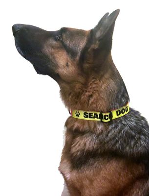 Collars