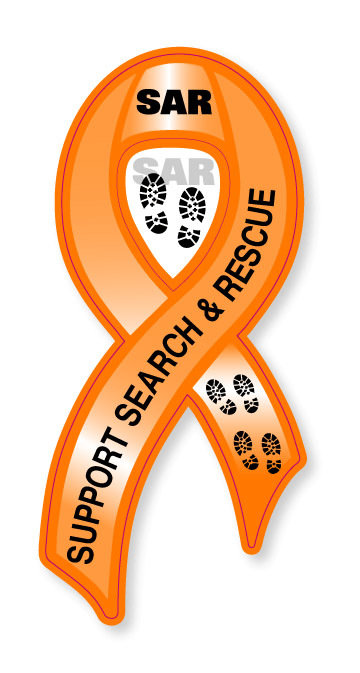 Magnetic Ribbon: SAR