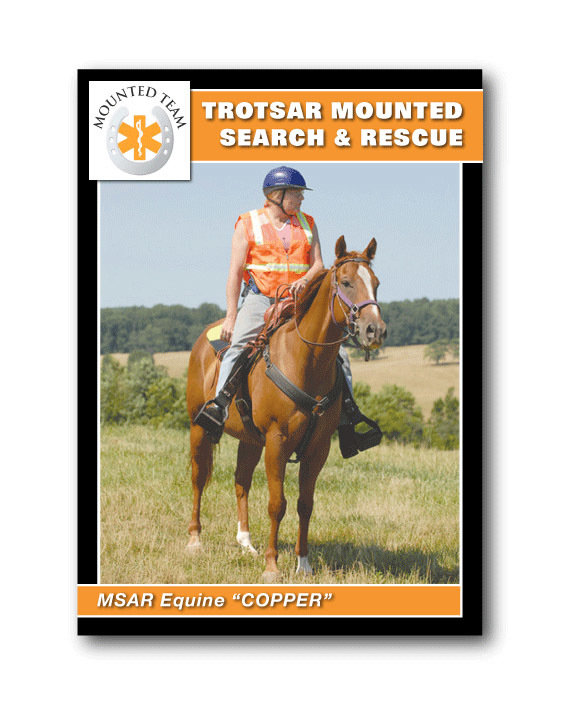 Trading Cards: Style C