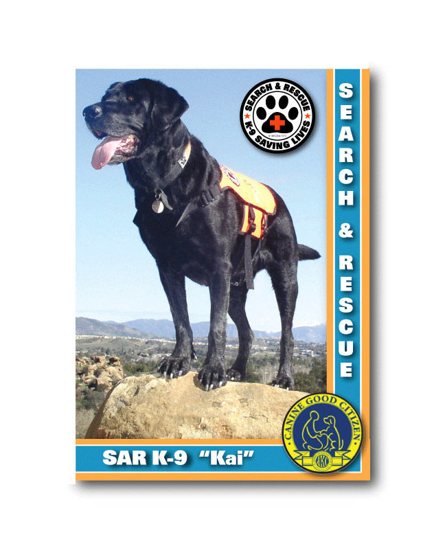 Trading Cards: Style A