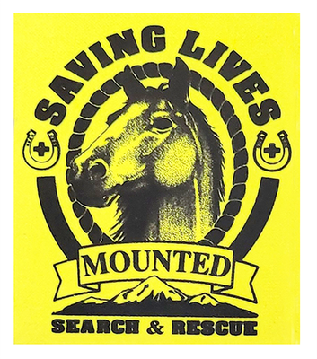 Reflective Patch: MSAR Logo