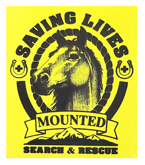 Reflective Patch: MSAR Logo