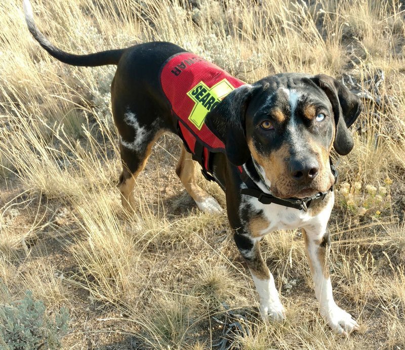 Derby styling a Red Mesh