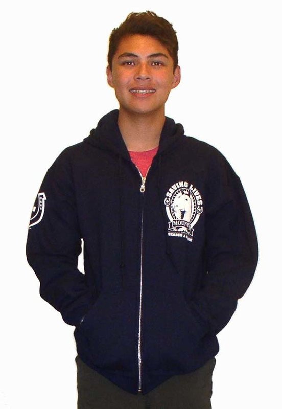 Zipper Hoodie Sweatshirt: MSAR