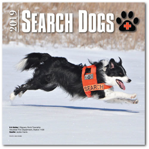 2019 SEARCH DOGS Wall Calendar