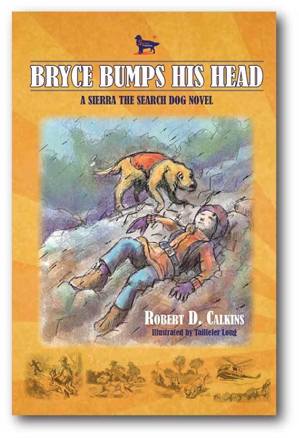 Bryce Bumps His Head (Book 4)