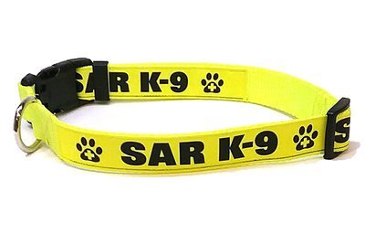 1-Inch Reflective Dog Collar: SAR K-9