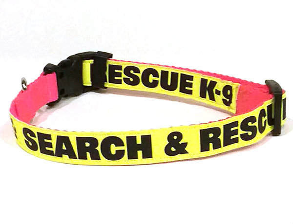 1-Inch Reflective Dog Collar: SEARCH &amp; RESCUE K-9