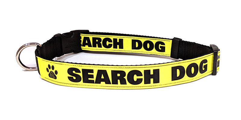 1-Inch Reflective Dog Collar: SEARCH DOG