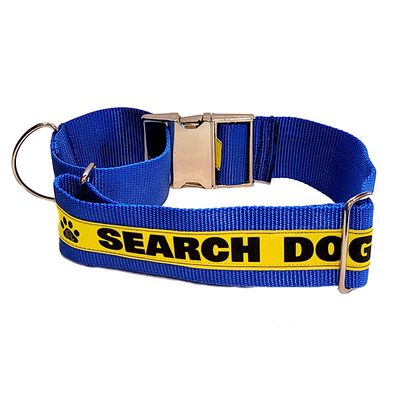 Martingales