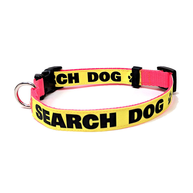 Reflective Dog Collar: SEARCH DOG - 1" Width