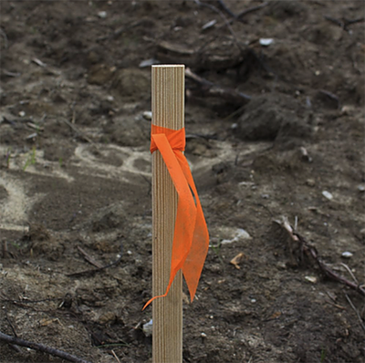 Presco® Biodegradable Flagging Tape