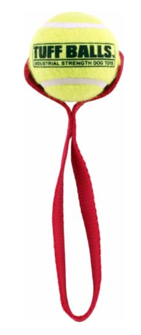 PetSport® Fetch Me Fido