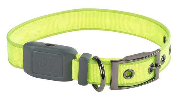 NiteDog™ Rechargeable LED Collar