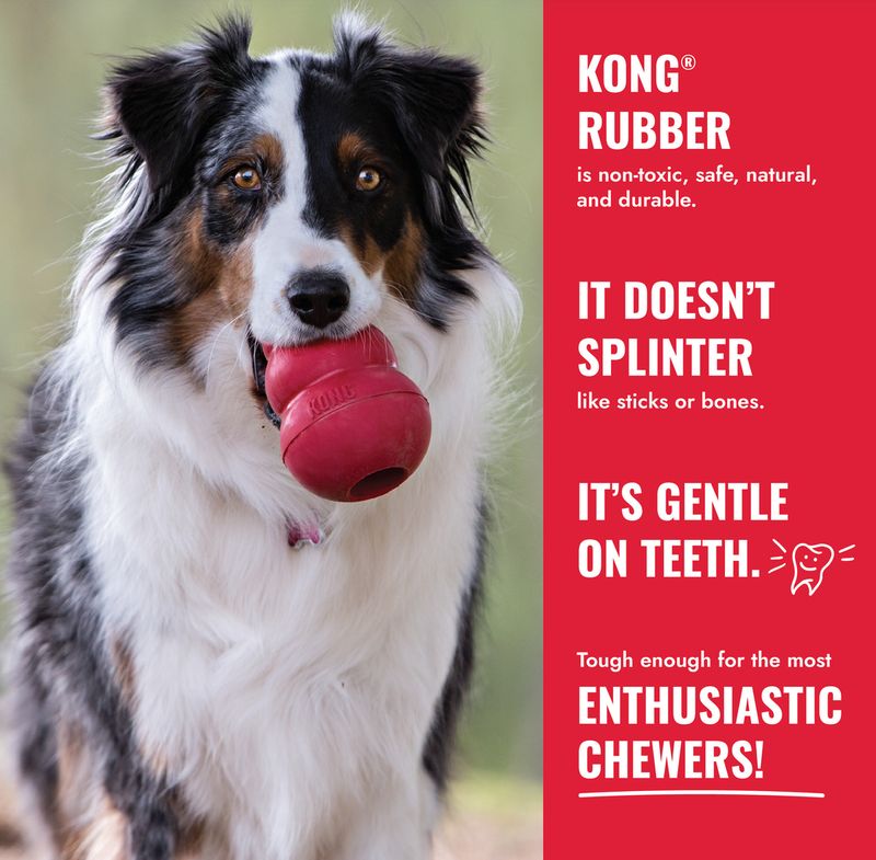 KONG® Classic for Average Chewers