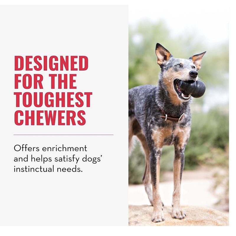 KONG® Extreme for Power Chewers