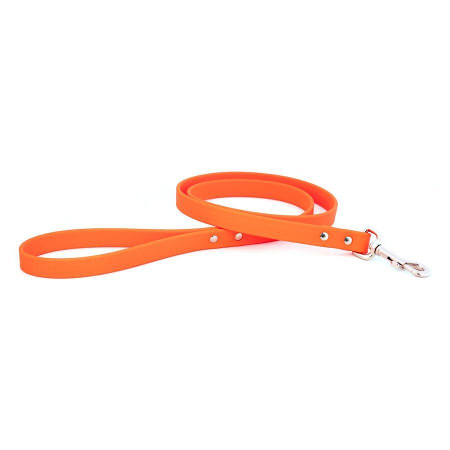 BioThane® 5 Ft. Dog Leash (Waterproof)