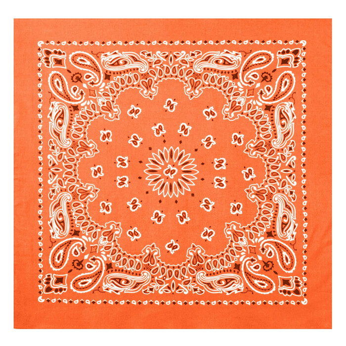 Bandana: Orange Paisley
