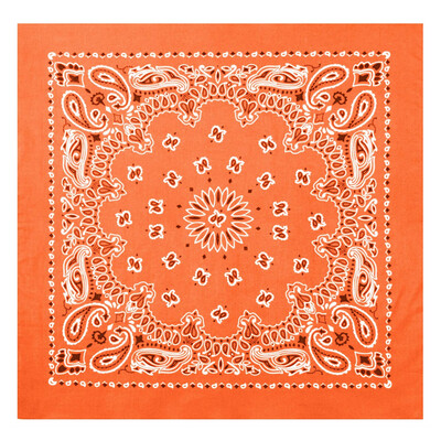Bandana: Orange Paisley
