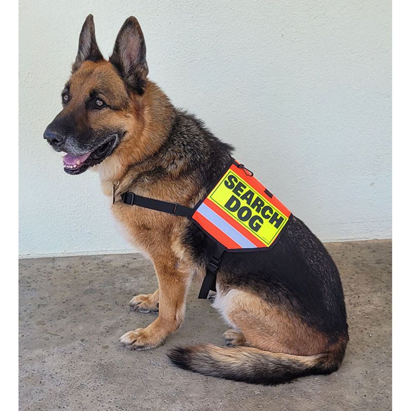 Mini K-9 Vest (Cordura®) with Reflective Accents