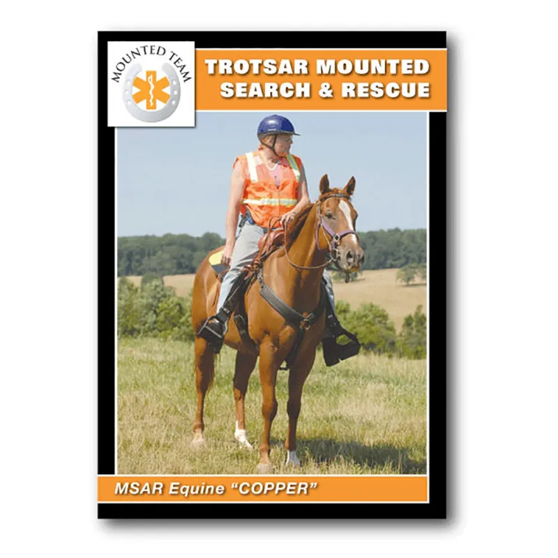 Style C: Set of 1,000 Trading Cards