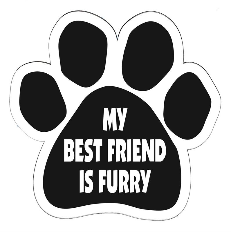 Pet Magnet: MY BEST FRIEND IS FURRY
